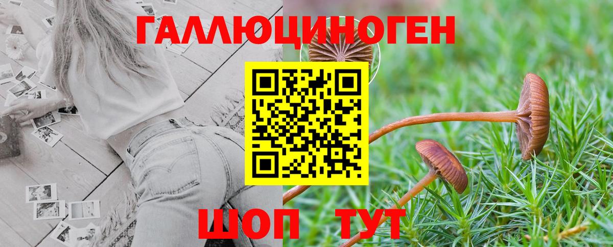 Мелеуз  Галлюциногенные грибы ЛСД  Галлюциногенные грибы Magic Shrooms  Вход с VPN 