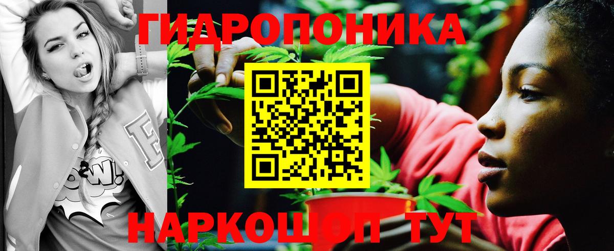 Бошки марихуана VHQ  Шишки марихуана тримм  Мелеуз  Вход с VPN 